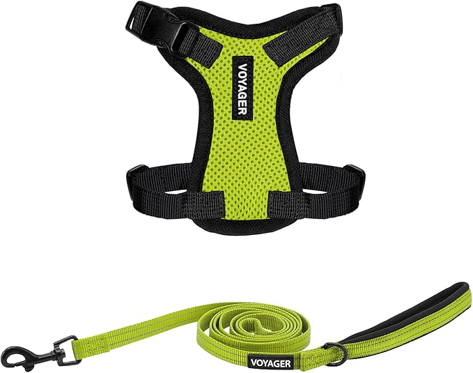 Best Pet Supplies Voyager Step-in Lock Pet Harness w Reflective Pet Leash Combo Set with Neoprene Handle 5ft - Supports Small, Medium and Large Breed Puppies/Cats - Lime Green/Black Trim, XXS