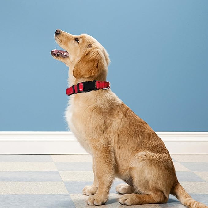 Reflective Dog Collar, Adjustable Soft Neoprene Padded Nylon Pet Collars with Buckle for Medium Dogs,M, Red