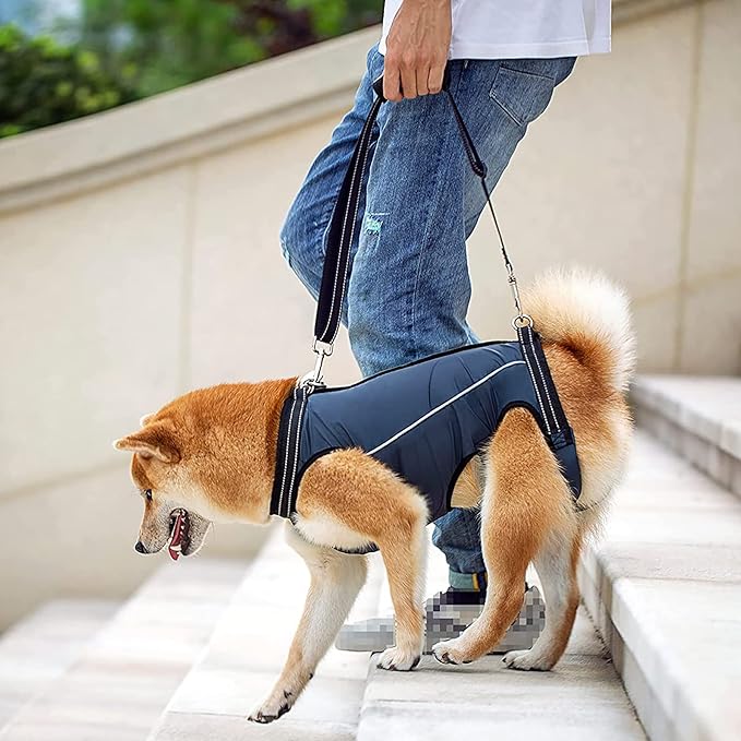 Dog Lift Harness Full Body Support & Recovery Sling Dog Lifter Vest Harness for Old, Joint Injuries, Arthritis, Disabled Dogs Walk (Medium, Navy)