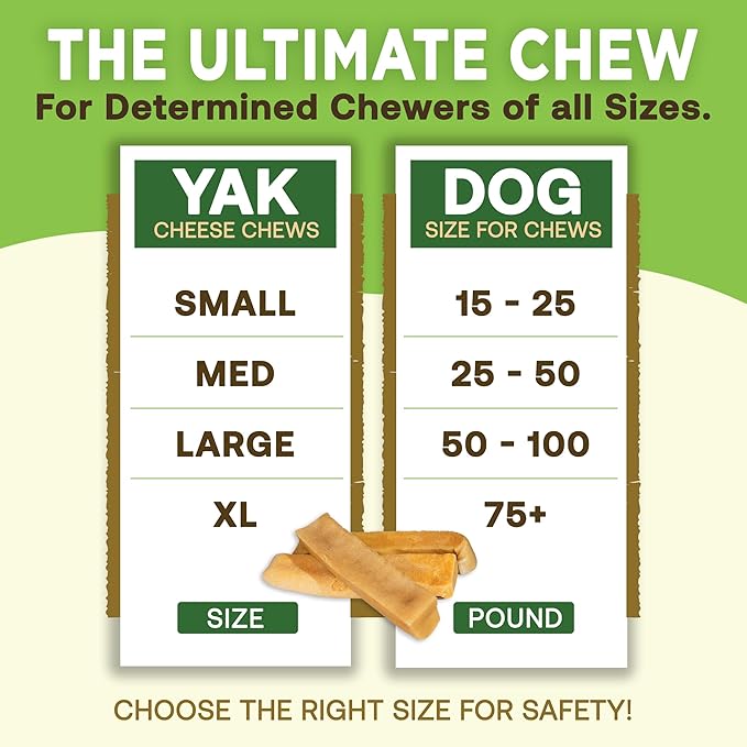 EcoKind Himalayan Yak Cheese Dog Chew | All Natural Premium Dog Treats, Healthy & Safe, Long Lasting, Easily Digestible, for All Breeds & Sizes (Large, 4-Pack)