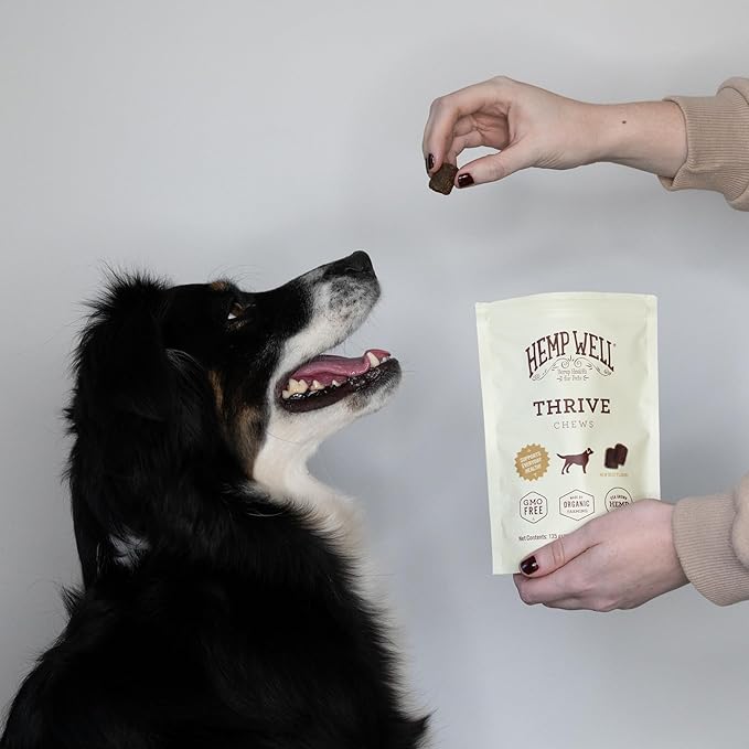 Hemp Well Thrive Soft Chews for Dogs, Organic Hemp Seed Oil Omega Supplement, Supports Skin & Coat, Hip & Joint, Immune Health & Overall Wellness – 60 Count