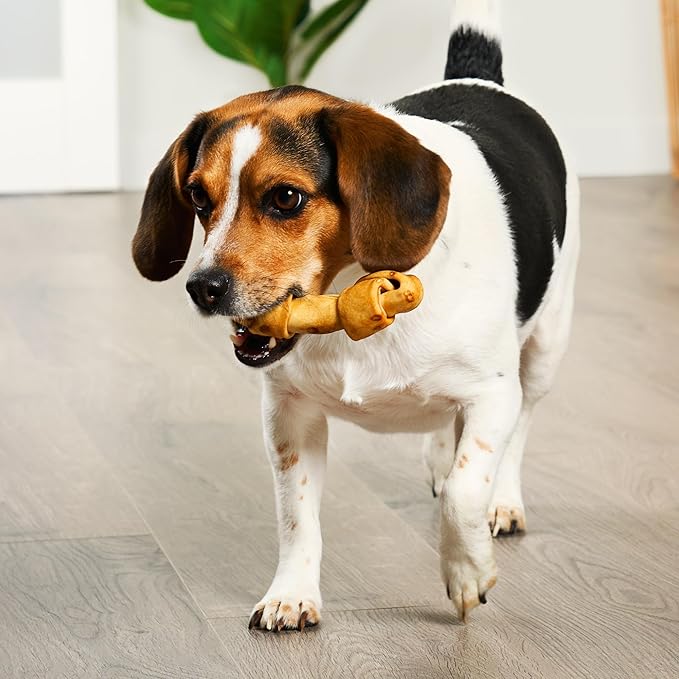 American Sourced Beefhide Bones 4-5" Dog Chew Treats - Chicken Flavor, 10 Count/1 Pack