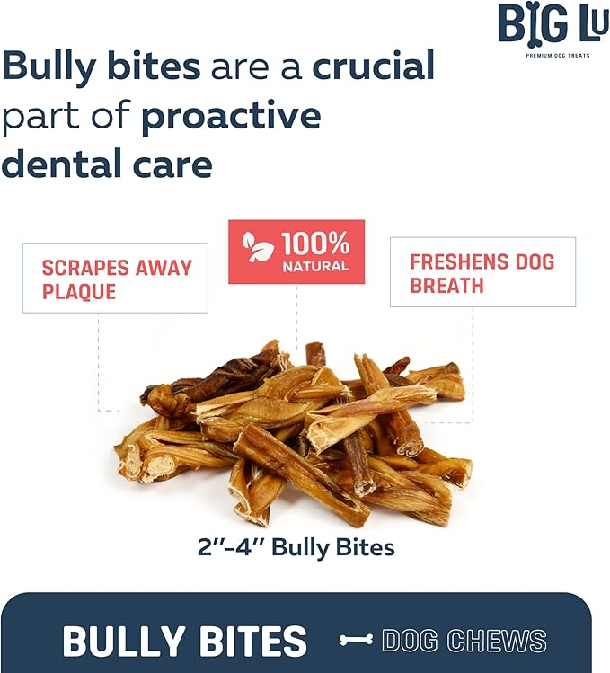 Big Lu - 2-4” Bully and Braided Bites, Variety Bag - 1 lb of 100% Grass-Fed Beef Chews for Small and Medium Dogs, Natural, Fully Digestible, Long-Lasting Treats