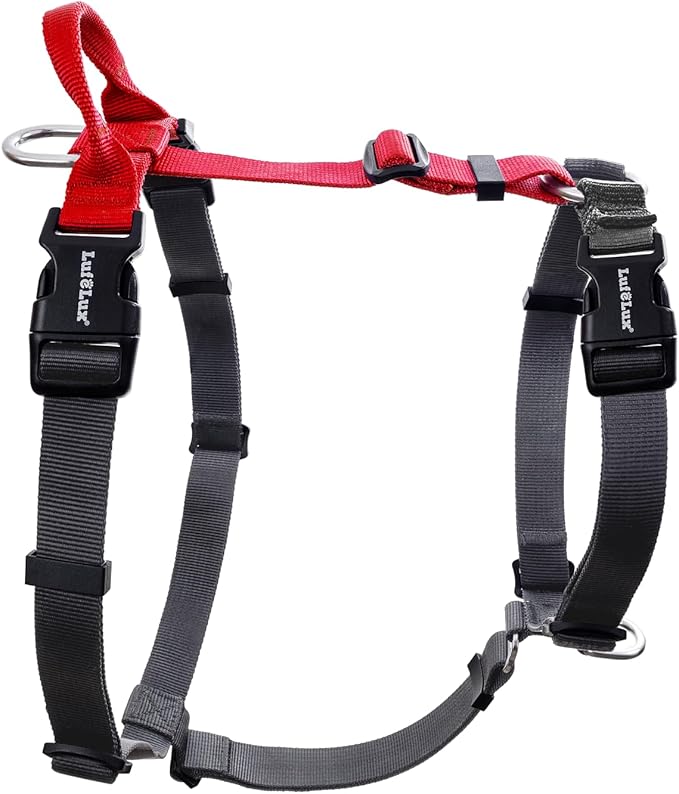 Non-Restrictive Dog Harness, Easy Walk Freedom No Pull Harness, Keep Balance, Neck-Buckle, Six Points Adjustment, 2 Leash Clips for Back and Front Clip (Red/Black, X-Small)