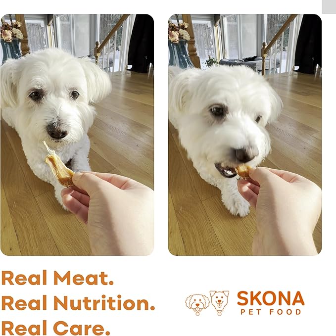 Skona PetFood Premium Chewy Dehydrated Chicken Breast Jerky for Dogs & Cats, 1 lb of Chicken Breast Dehydrated to 4 oz, Single Ingredient High Protein Training Treat, Supports Digestion & Liver Health
