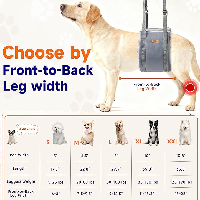 Big Dog Lift Harness, Adjustable Dog Sling for Back Legs, Hip Support Harness to Help Lift Dogs Rear for Helps Senior, Injured, Disabled and After ACL Surgery Dogs - X-Large, Grey
