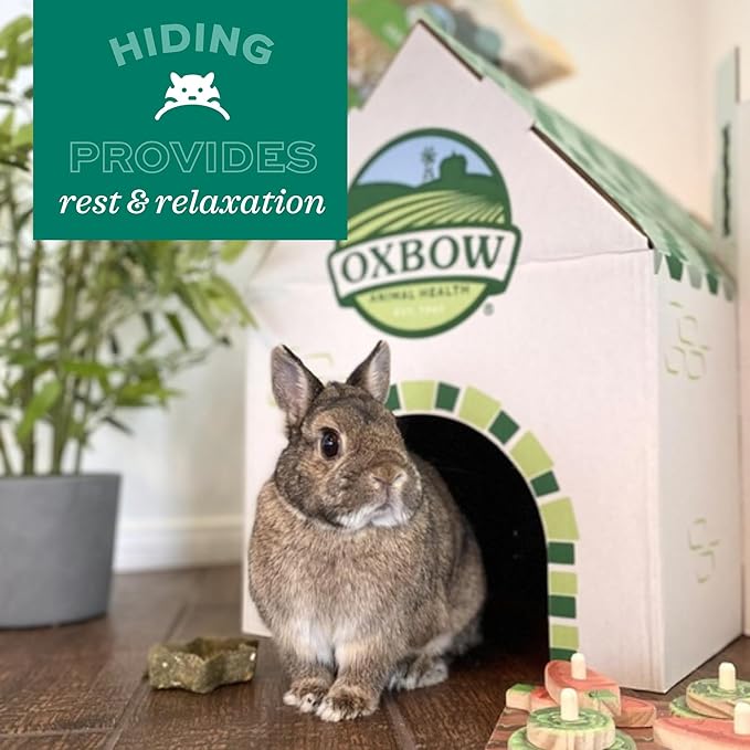 Oxbow Timothy Hay Bungalow, Rabbit & Guinea Pig Hideout, Edible & Hand-Woven Bunny House, No Wires or String, Small Pet Accessories, for Rabbits, Guinea Pigs, Chinchillas & Rats, Medium