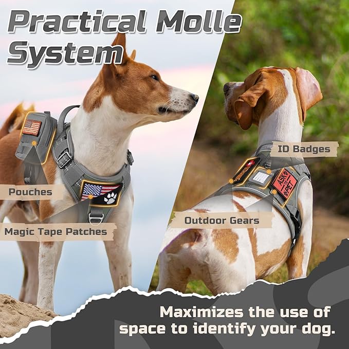 rabbitgoo Tactical Dog Harness for Small Dogs, No Pull Military Service Vest with Handle & Molle, Easy Control for Training Walking, Adjustable Reflective Straps, Dark Grey, S