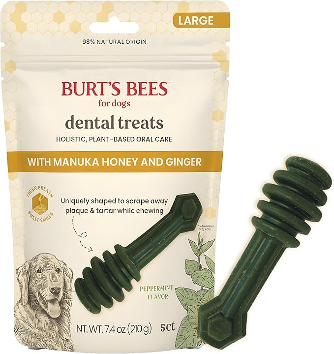 BURT'S BEES FOR PETS Dental Treats for Dogs with Manuka Honey & Ginger, Holistic, Plant-Based Oral Care, 98% Natural Origin Formulas, Peppermint Flavor, Dog Treats Small Dogs, Sz Md/Lg 10ct, 7.7 oz