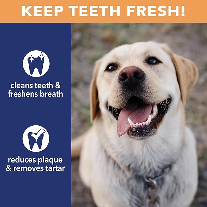 Pet Factory CareChewz Collagen 6-7" Skinny Braided Sticks Dog Chew Treats - Chicken Flavor, 5 Count/1 Pack