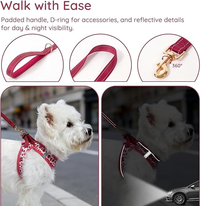 BELLA & PAL Step in Vest Harness for Small and Medium Dogs, No Pull Small Dog Harness with Leash Set, Comfortable Air Mesh Dog Vest Harness with Reflective Strip (Pink Leopard, XXS)