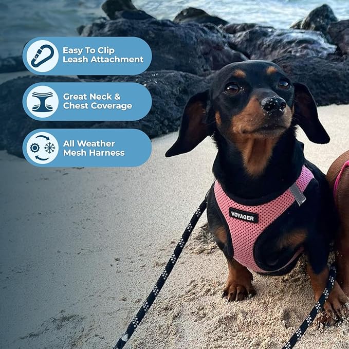 Best Pet Supplies Voyager Step-in Air All Weather Mesh Harness and Reflective Dog 5ft Leash Combo with Neoprene Handle, for Small, Medium and Large Breed Puppies - Set (Pink Base), Medium