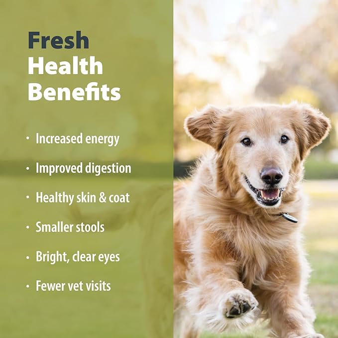 JustFoodForDogs Pantry Fresh Wet Dog Food, Complete Meal or Dog Food Topper, Beef & Potato Human Grade Dog Food Recipe - 12.5 oz (Pack of 12)