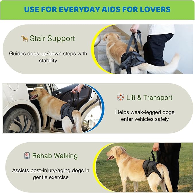 Dog Lift Harness for Back Legs–Sturdy Dog Support Sling–Hip Sling Carrier for Large Medium Canine, Stair Helper for Aid Old Ligament Rehabilitation Pet, Grey,S