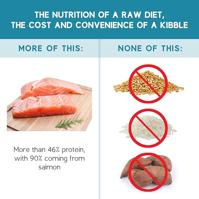 Ketona Salmon Recipe Adult Dry Dog Food, Natural, Low Carb (Only 5%), High Protein (46%), Grain-Free, The Nutrition of a Raw Diet with The Cost and Convenience of a Kibble; 4.2 lb