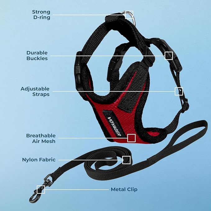 Voyager Escape-Proof Step-in Lock Cat Harness & 5ft Neoprene-Handle Leash Set All-Weather Mesh with Reflective Stitching for Small to Large Cats by Best Pet Supplies, Red/Black Trim, XXS