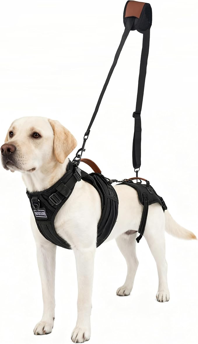 Dog Lift Harness for Male Dogs - 2-in-1 Full Body Support Aid & Sling, Comfortable & Chafe-Free for Post-Surgery Recovery and Elderly Dog Mobility, Hind Leg Assistance, Supports up to 55 Lbs (L)