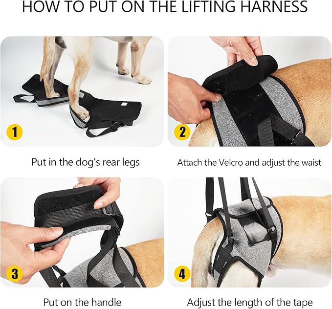 Dotoner Dog Sling for Large Dogs Hind Leg Support to Help Rehabilitate the Hind Limbs of Elderly Dogs with Weak Hind Legs Disabilities and Injuries Dog Harness Helps Arthritis ACL Recovery（XL,Grey）