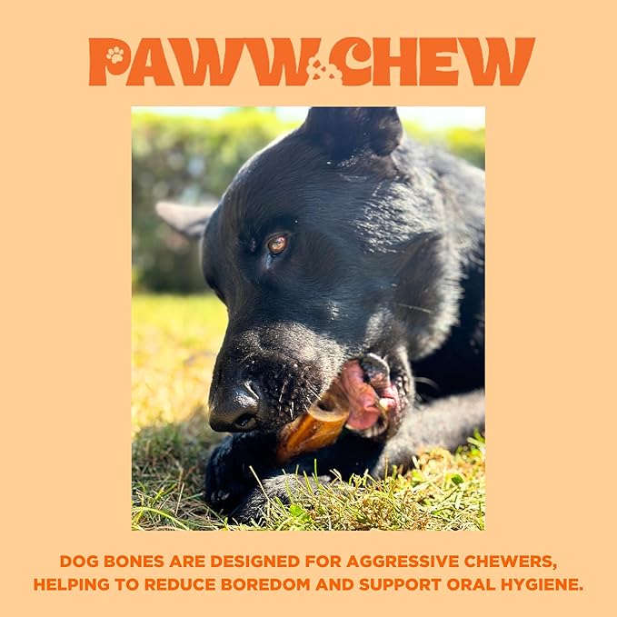 PAWW CHEW 100% Natural Dog Bones, Single Ingredient (6 Pack) Marrow Filled Bone for Dogs, Made in The USA, Beef Bone Marrow for Aggressive Chewers, Real Meaty Dog Bones for Large, Medium, Small Dogs