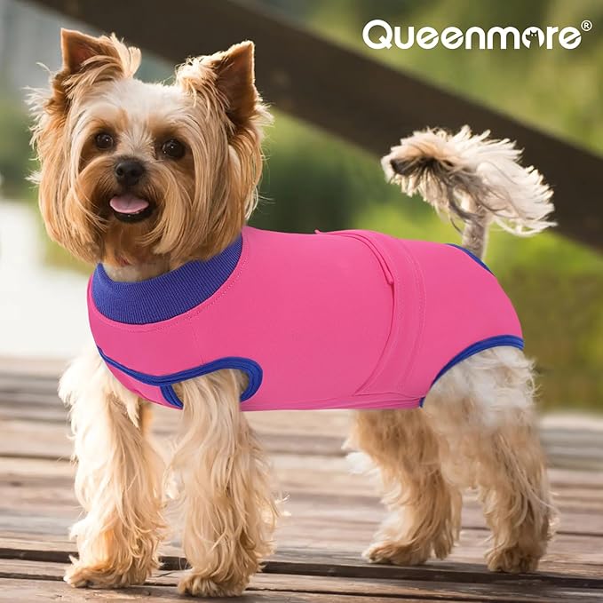 Queenmore Recovery Suit for Dogs Cats After Surgery,Dog Surgical Recovery Suit Onesie,Anti Licking Pet Female Spayed Neutered Puppy Surgical Clothes for Abdominal Wounds, Substitute E-Collar & Cone