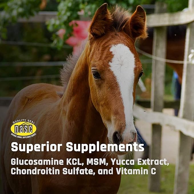 Majesty's Flex Wafers - Superior Joint Support Supplement For Your Horse - 30 Count (1 Month Supply)