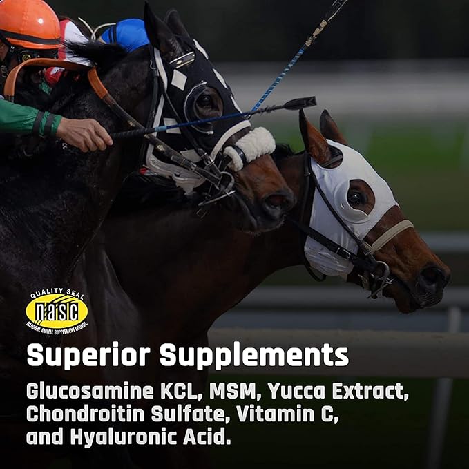 Majesty's Flex HA Wafers - Superior Performance Horse/Equine Joint Support Supplement - HA, Vitamin C, Yucca, Glucosamine - 30 Count (1 Month Supply)