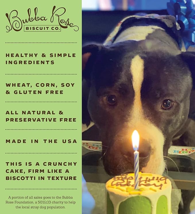 Bubba Rose Biscuit Company: Green Dog Birthday Baby Cake - Crunchy Biscuit Texture - Natural Gourmet Pet Treat - Dog Cake - 3 inch 1 Count - Made in The USA