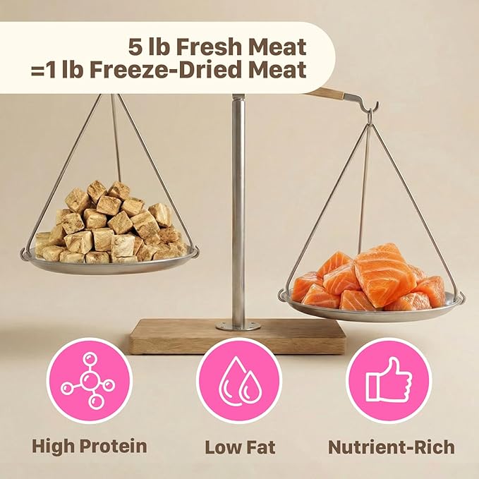 Freeze Dried Dog & Cat Treats – Single Ingredient Salmon, High Protein Training Treats & Food Topper, 3.5 oz