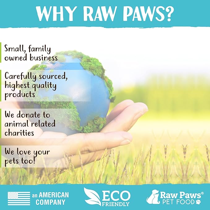 Raw Paws Camel Skin Chews for Dogs, 10-inch (10-Count) - Rawhide Free Dog Chew Long Lasting - Support Dog Anxiety Relief - Bully Stick Alternative
