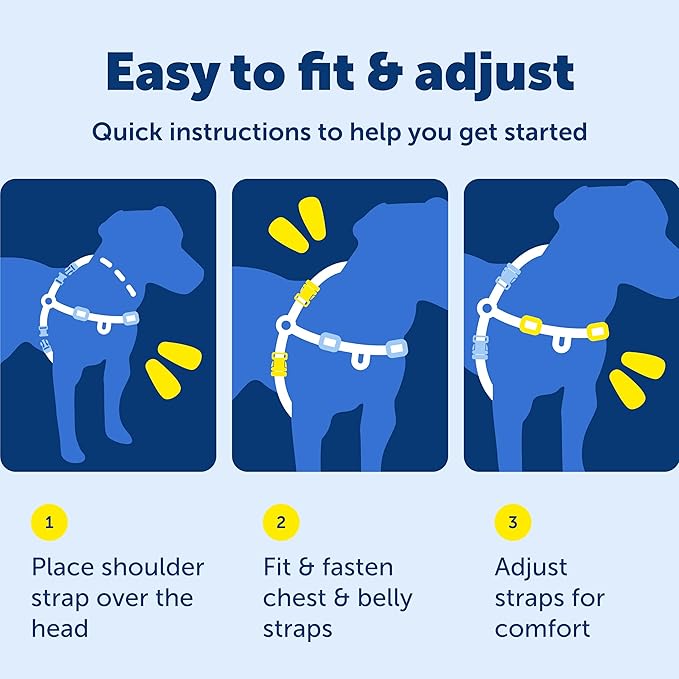 PetSafe Easy Walk Deluxe Dog Harness, No Pull Dog Harness – Perfect for Leash & Harness Training – Stops Pets from Pulling and Choking on Walks – Medium, Steel