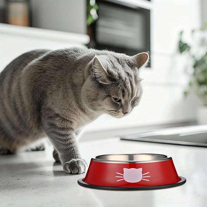 Amylove 6 Pcs Cat Bowls for Food and Water Cat Dishes Stainless Steel Pet Food Bowls 7 oz Anti Slip Metal Pet Dish with Removable Rubber Base Thick for Feeding Indoor Kitten Small Dog (Rainbow Color)