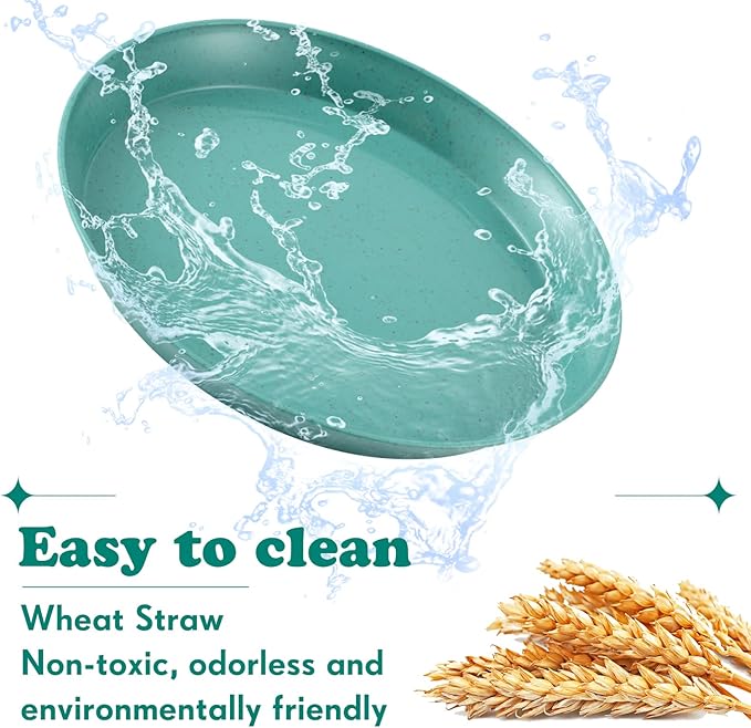 Gerrii 24 Pieces Fatigue Relief Cat Bowl 6 Inch Shallow Cat Food Dish Stray Wet Feeding Bowls Wide and Small Pet Plates for Ferrets Feral Short Legged Kitten Shelter(Elegant Color,Convention)