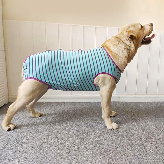 Dog’s Recovery Suit Post Surgery Shirt for Female Male Dog, E-Collar Alternative Wound Protective Clothes (Purple stripe-4xl)