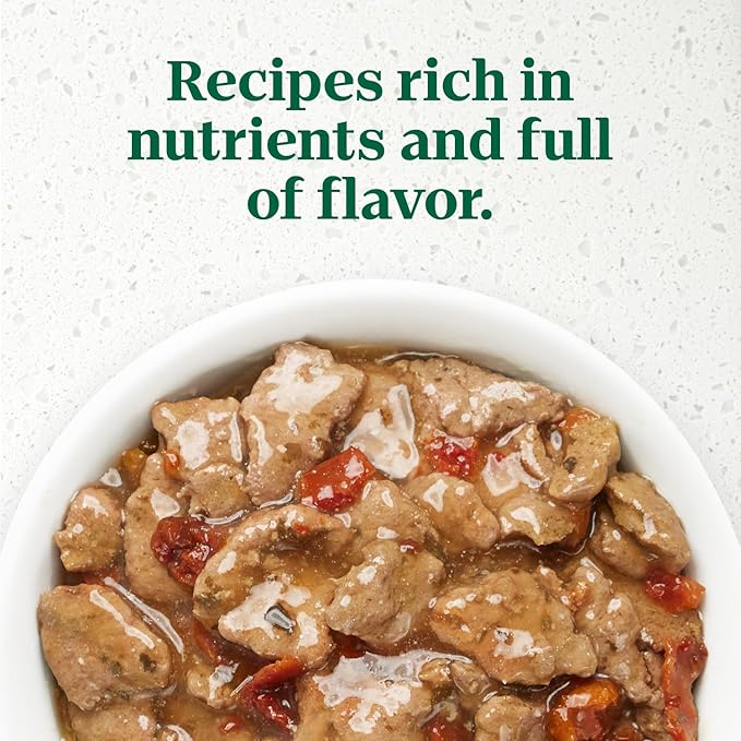 Nutro Ultra Wet Dog Food Grain Free Filets, Adult Dog Food Wet Recipe in Gravy Tender Beef Entree, 3.5 oz. Trays (24 Count, Pack of 1)