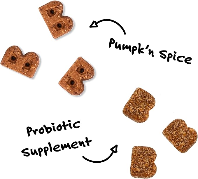 Bocce's Bakery Pumpk’n Spice Treats + Probiotic Supplement Bundle for Dogs – All-Natural, Wheat-Free Cookies & 7 Strains of Probiotics to Support Digestion – Baked in The USA with Real Ingredients