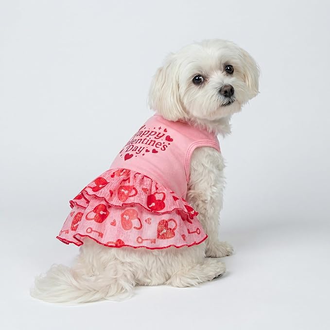 Fitwarm Happy Valentine's Day Dog Dress, Elegant Valentines Outfit for Small Dogs Girl, Festive Pet Clothes, Pink, Red, XXS