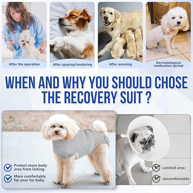 SlowTon Dog Surgery Recovery Suit - Zipper On Dog Onesies After Surgery for Female Male Dogs, Abdominal Wounds Bandages Cone/E-Collar Alternative Dogs Body Suit Shirt Anti-Licking (Grey,3XL)