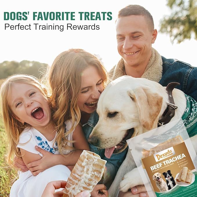 6 Inch Beef Trachea Dog Chews (6pcs - 8oz)-Trachea Dog Treats,Digestible and Safe Chews for Dogs - Natural High Protein for Medium & Large Dogs,Teeth Grinding & Cleaning, Supports Dental Health