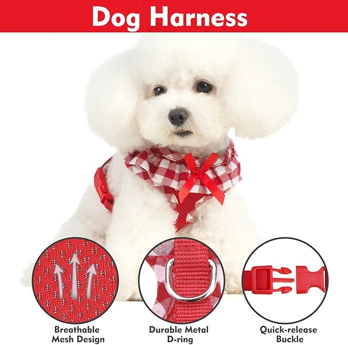 EXPAWLORER Cute Dog Harness and Leash Set - Red Girl Dog Harness Checkered Step-in Design, Easy Adjustable No-Choke Lightweight Breathable Vest for Small Medium Dogs Outdoor Walking, Medium