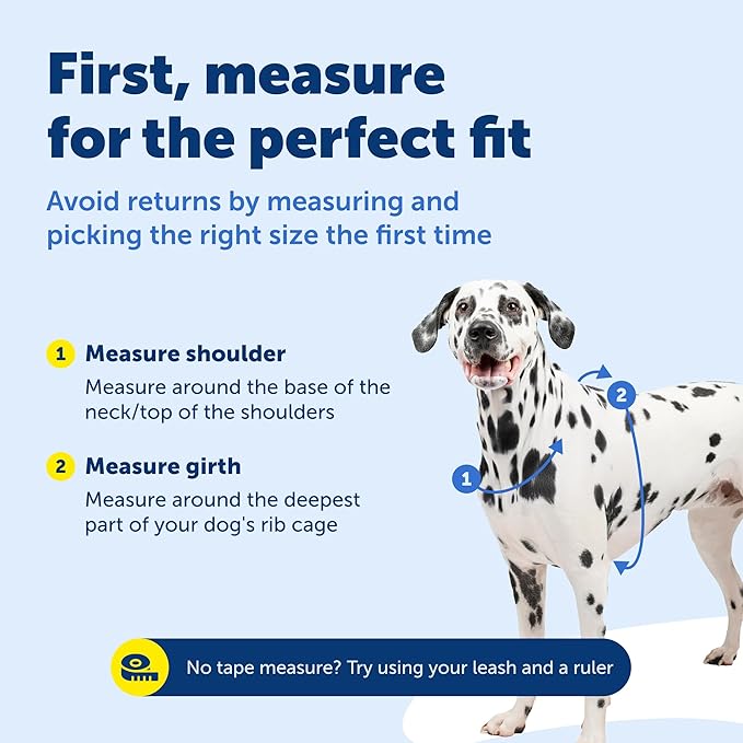 PetSafe 3 in 1 No-Pull Dog Harness for Large Dogs - Walk, Train or Travel - Helps Pets from Pulling on Walks - Seatbelt Loop Doubles as Quick Access Handle - Reflective- Large, Teal