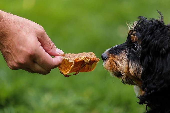 Top Dog Chews - Beef Trachea for Dogs Made in The USA (1 Pound), Irresistible Dog Chews Packed with Flavor and Essential Nutrients, Dog Treats for Small, Medium & Large Breeds
