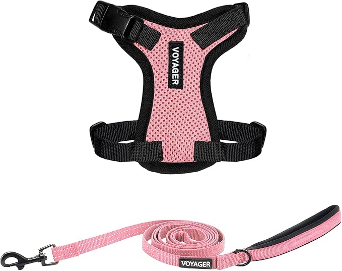 Best Pet Supplies Voyager Step-in Lock Pet Harness w Reflective Pet Leash Combo Set with Neoprene Handle 5ft - Supports Small, Medium and Large Breed Puppies/Cats - Pink/Black Trim Set, XXS