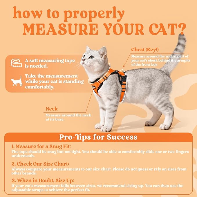 rabbitgoo Cat Harness and Leash for Walking, Escape Proof Soft Adjustable Vest Harnesses for Cats, Easy Control Breathable Reflective Strips Jacket, Orange, XS