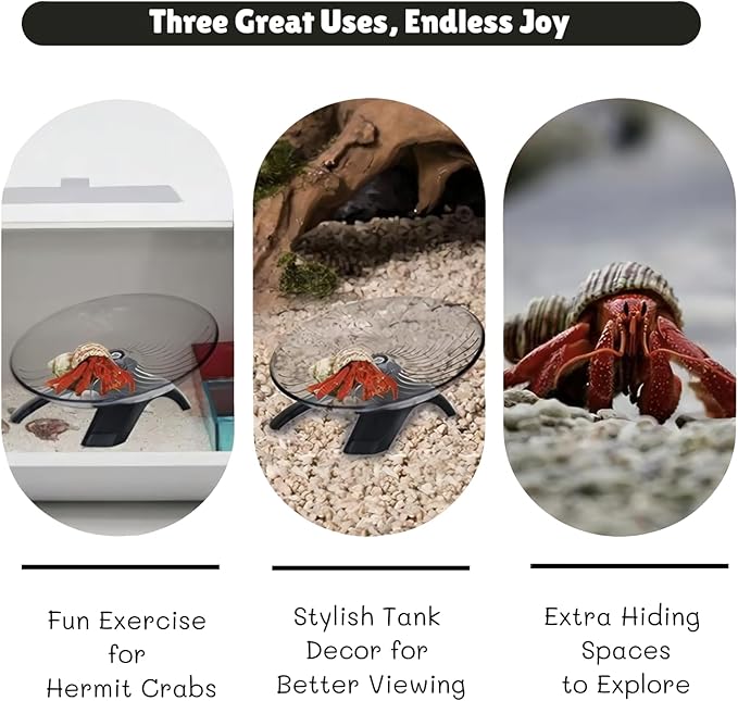 Hermit Crab Running Wheel Toy, Hamster Exercise Wheel, Small Animal Cage & Tank Accessory for Hermit Crabs, Hamsters, Rats, Gerbils, for Active Play and Exercise