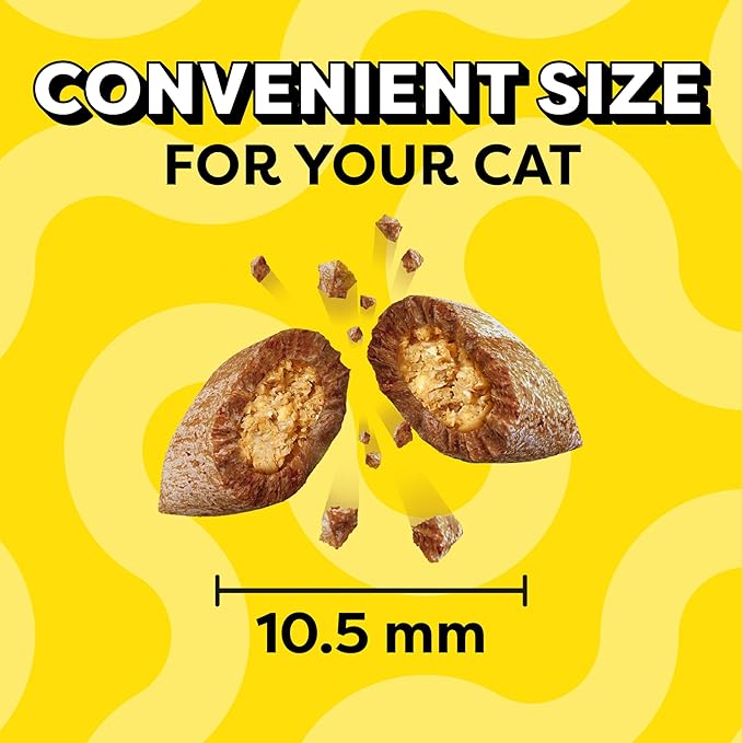 Temptations Cat Treats Classic Crunchy and Soft Cat Treats, Savory Salmon Flavor, 16 oz. Tub