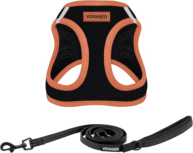 Voyager Step-in Air All Weather Mesh Harness and Reflective Dog 5 ft Leash Combo with Neoprene Handle, for Small, Medium and Large Breed Puppies by Best Pet Supplies - Black, Small