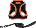Voyager Step-in Air All Weather Mesh Harness and Reflective Dog 5 ft Leash Combo with Neoprene Handle, for Small, Medium and Large Breed Puppies by Best Pet Supplies - Black, Small
