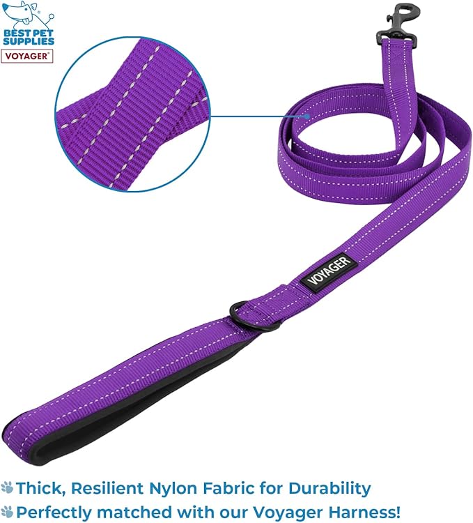 Best Pet Supplies Voyager Step-in Lock Pet Harness w Reflective Pet Leash Combo Set with Neoprene Handle 5ft - Supports Small, Medium and Large Breed Puppies/Cats - Purple, XXS