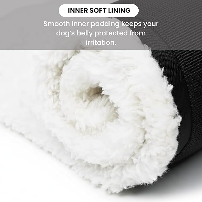 Adjustable Dog Lift Harness – Rear Leg Support Sling for Extra-Large Dogs | Mobility Aid for Senior, Injured & Post-Surgery Pets, ACL Surgery Dogs | Soft, Durable & Comfortable