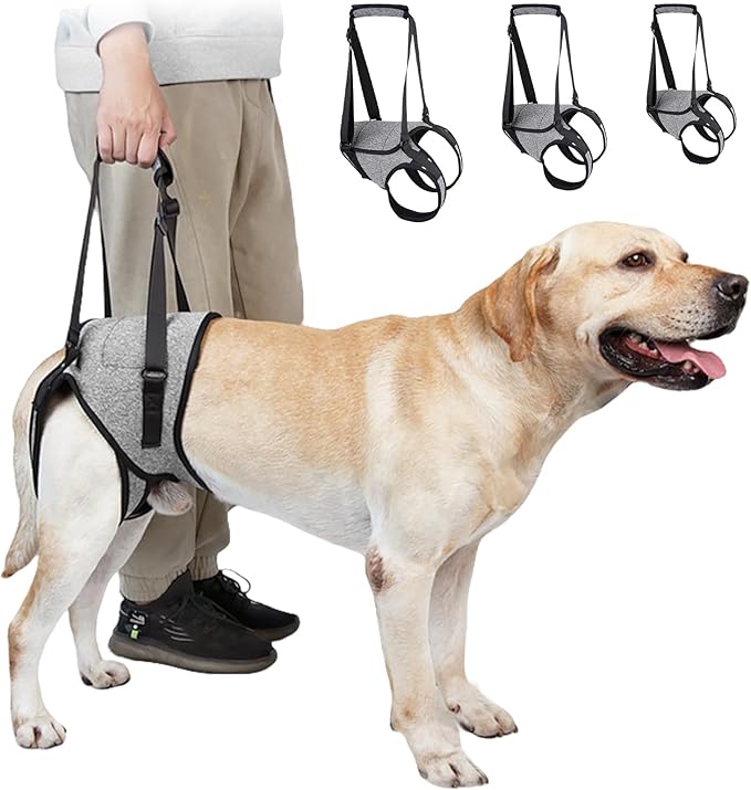 Dog Rear Leg Mobility Aid Lifting Harness Machine Washable Polyester Comfortable Body for Senior Breeds Adjustable Pet Harness